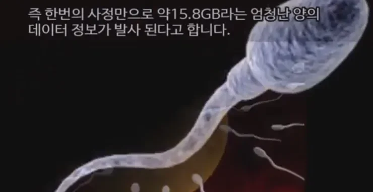 1531135614 46e99d82