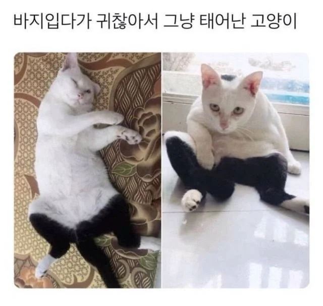 1559312996 f90b1e1d