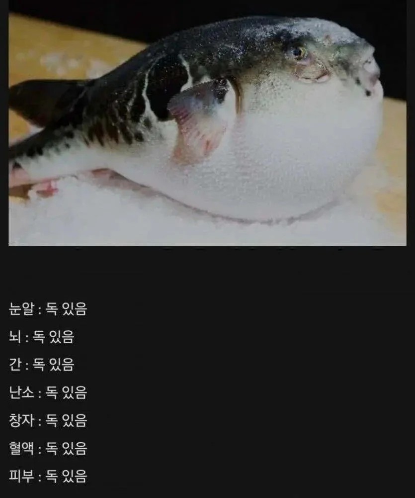 1600202348 f6d42083