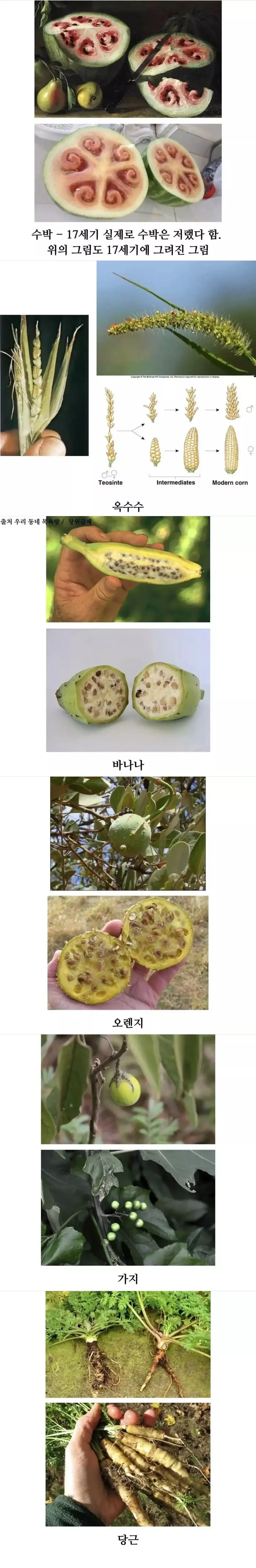 1604558148 b50970dd