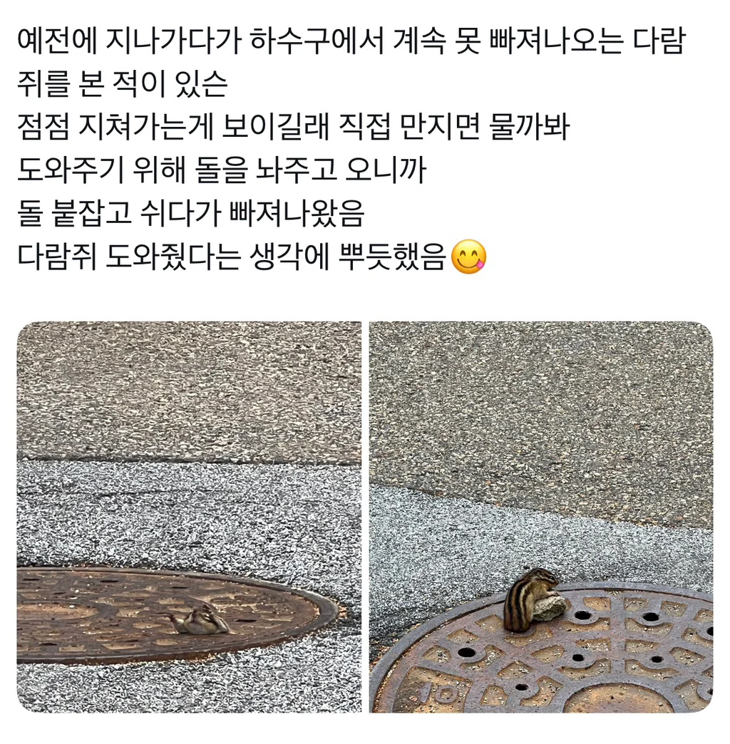 1607341496 35762733