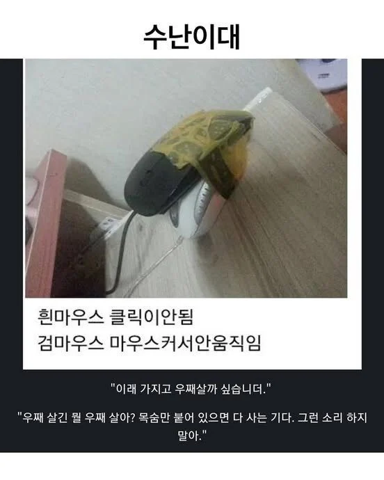 1610167661 5dd53615