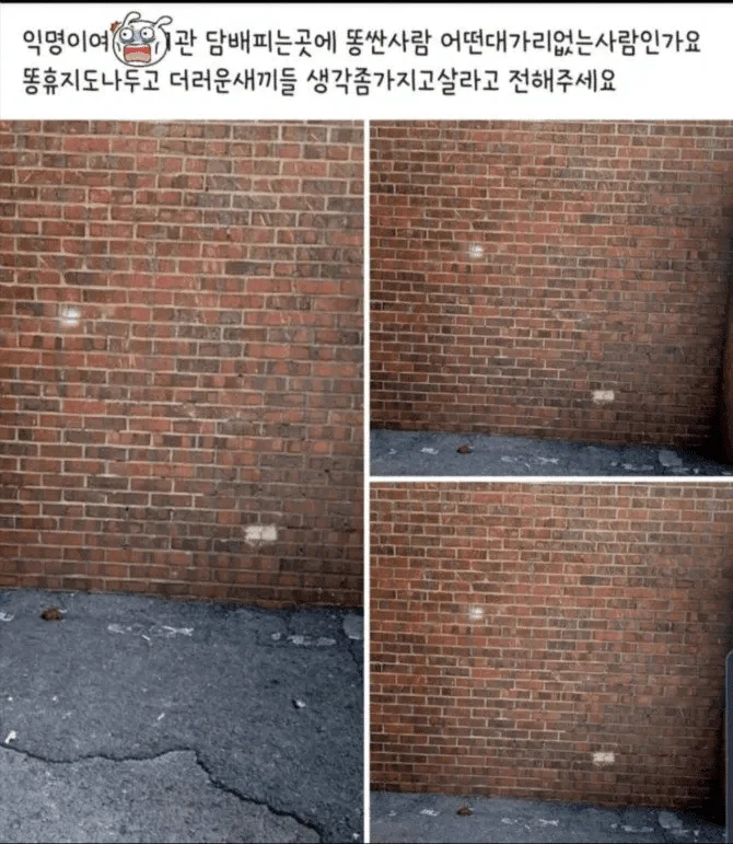 1700191418 b143084e