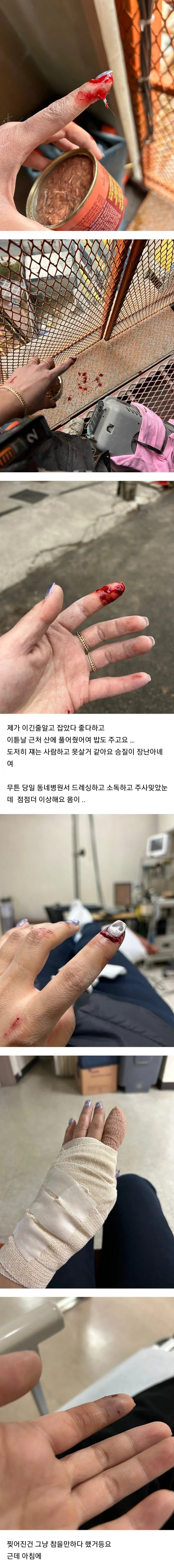 1706456175 19e84559