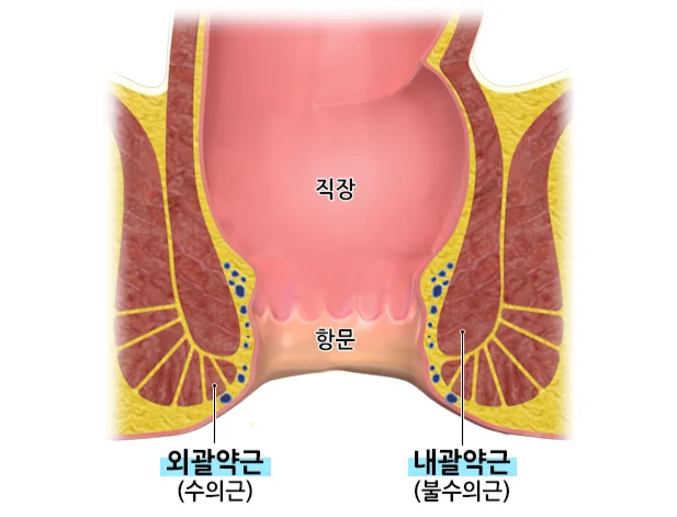 1711107477 70b2c257