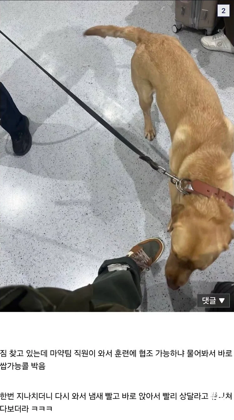 1728068997 b1c5560c