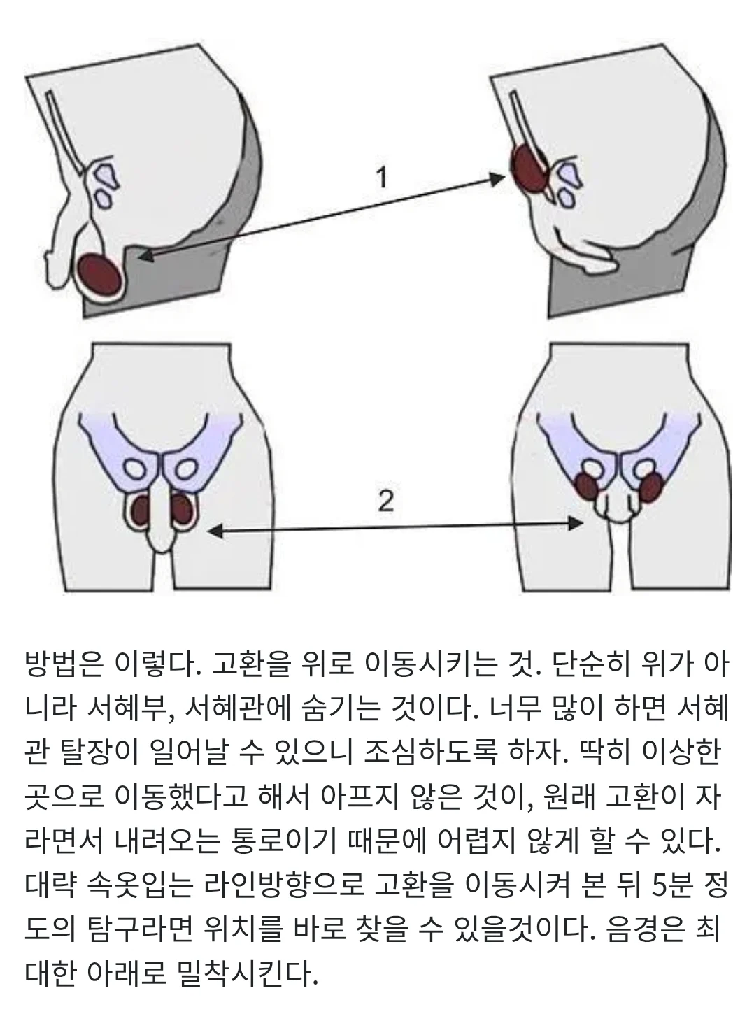 1743239776 d46901d5