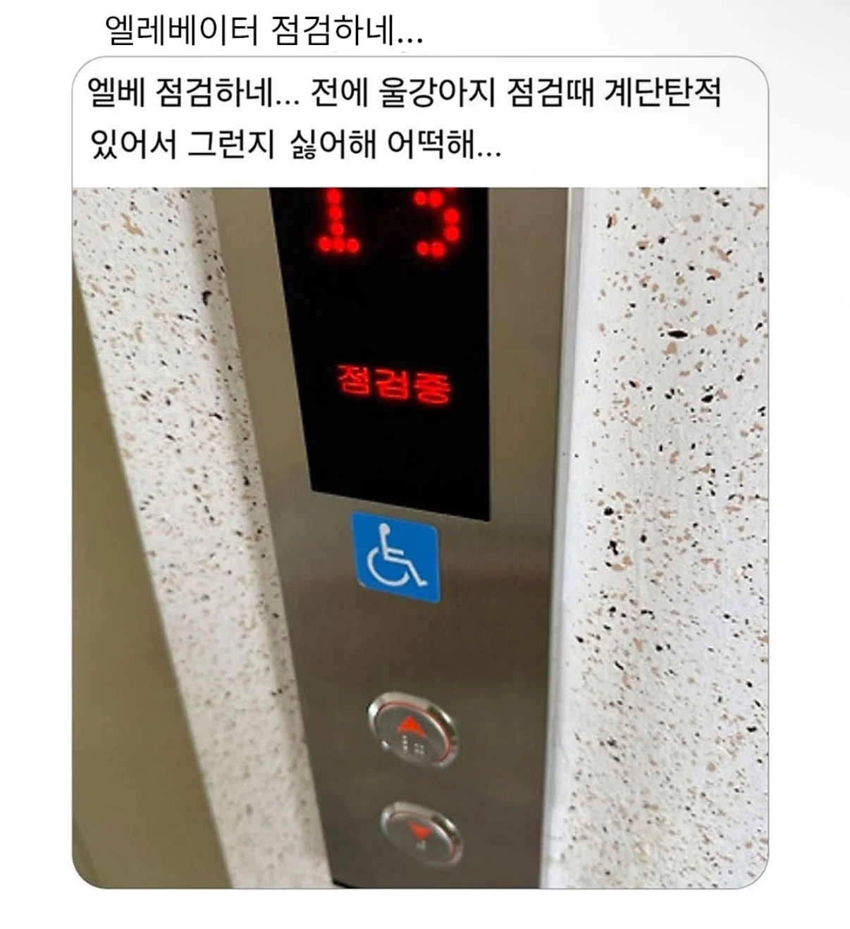 1744528208 381a8cc4
