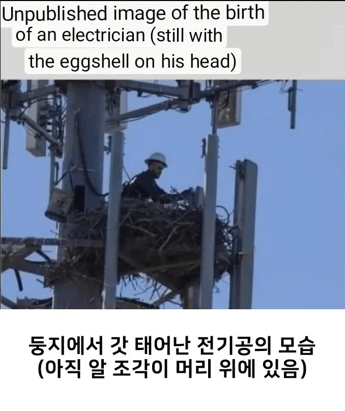 1804095566 a2e289c3