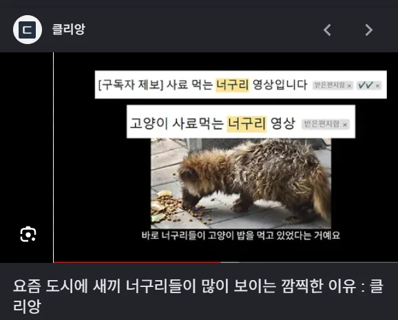 1816038556 93e9f2e2