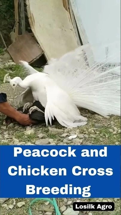 1824048355 b4f01b88