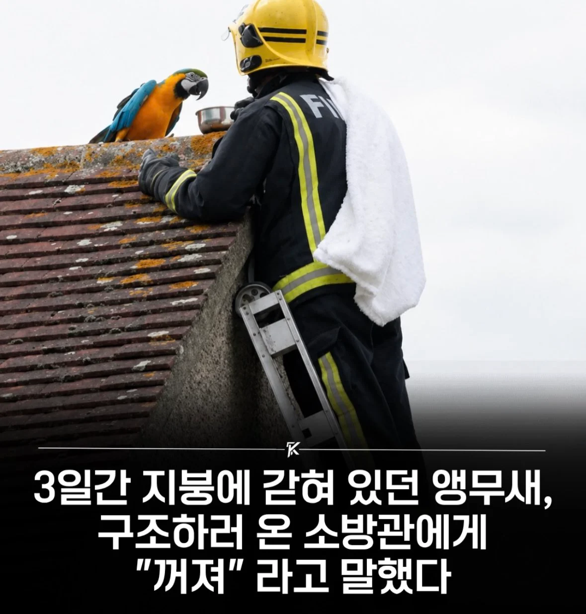 1844192167 ad1df161