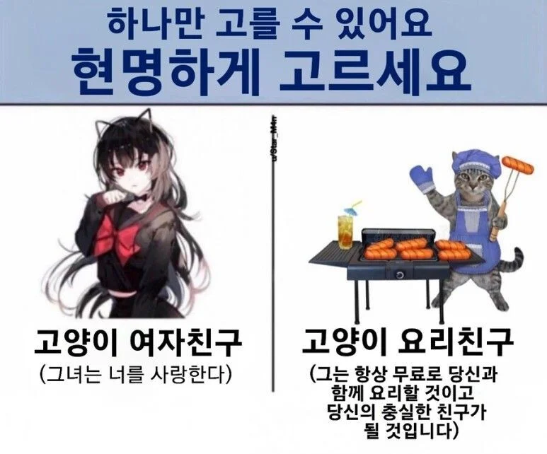 1921416994 e7ceca77