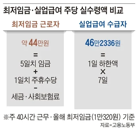 1947061639 b33dd636