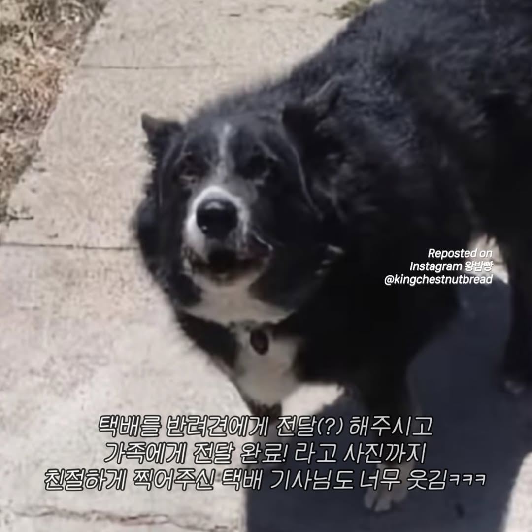 2029098757 4d358b85