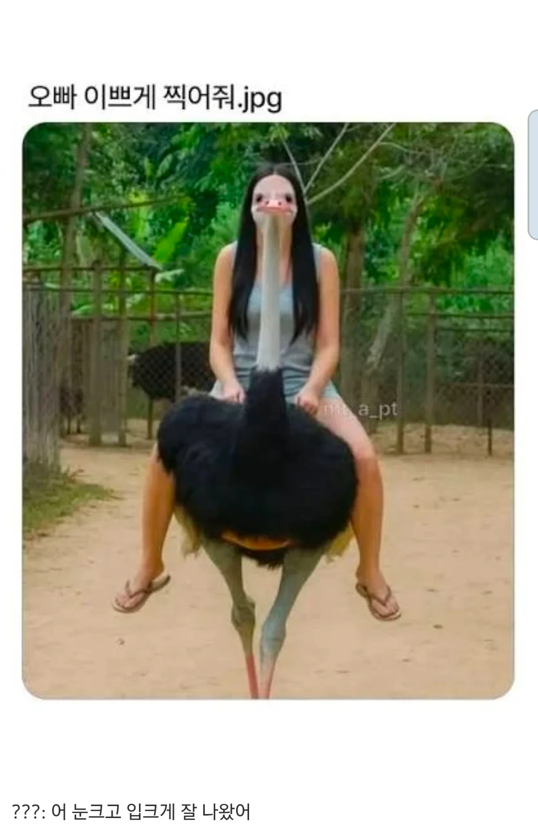 2048036584 6c2783c9