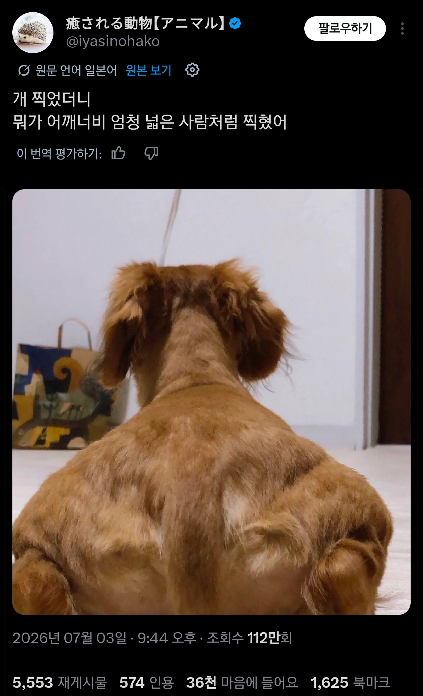 2150164776 95217fb1