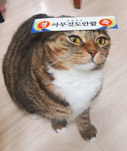 2250065846 4b2792c1