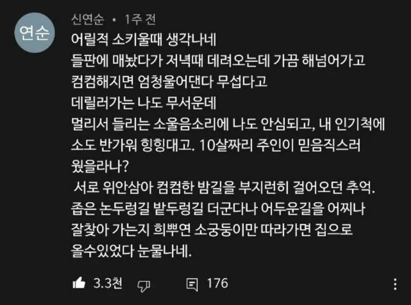 2319376389 c40e4d21