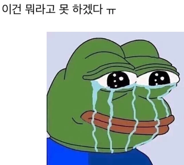 2322183558 81ccdb93