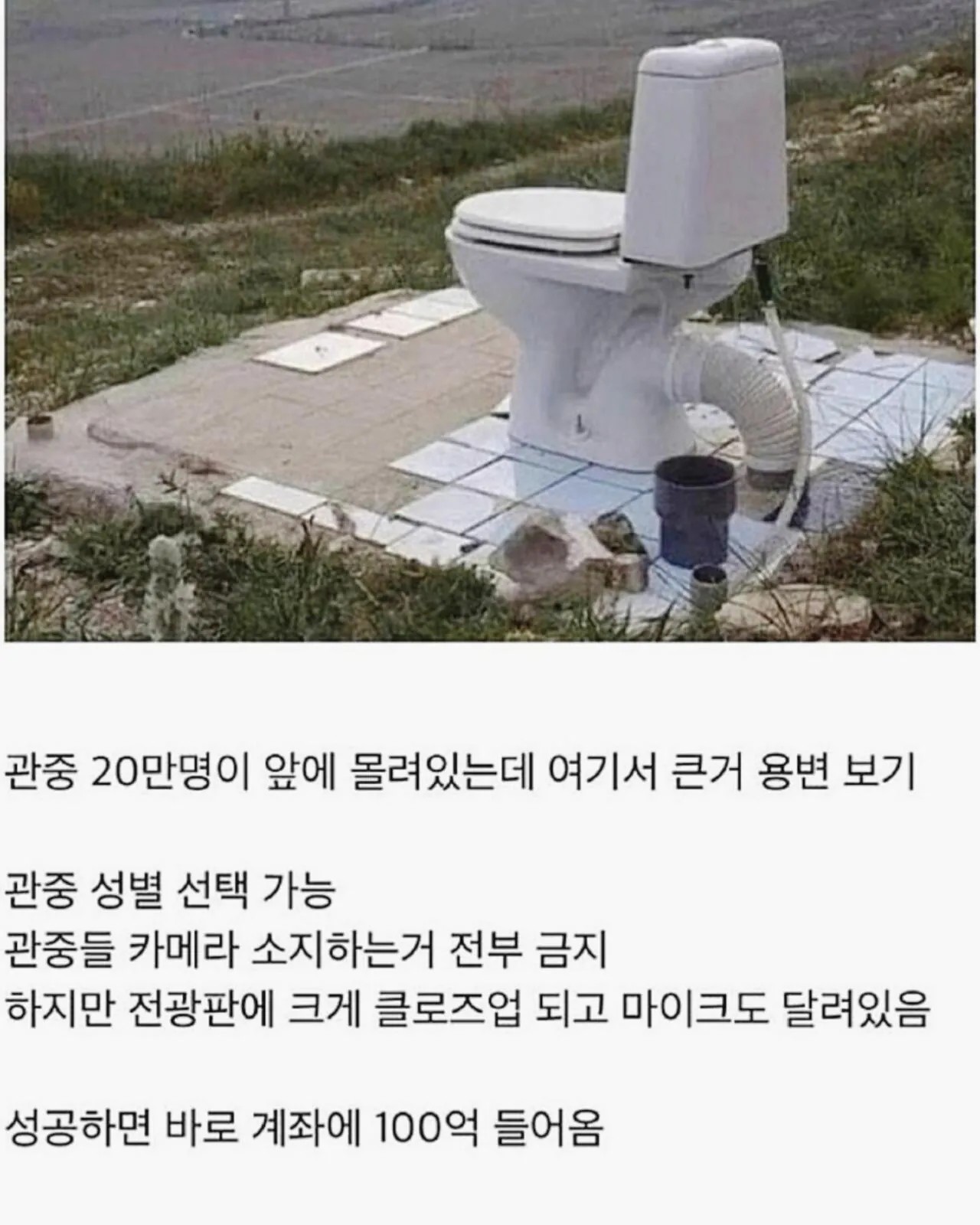 2335007927 4fe59c9b