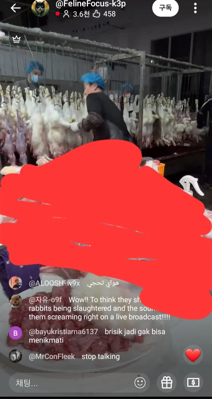 2341133478 b1d552b4