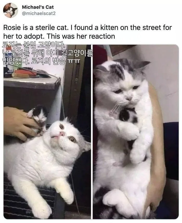 2349297664 1c4fb92c