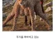 최근 반도체 열풍에 의문이 드는 이유.jpg