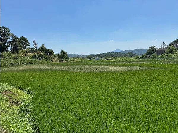 0014222370 6034c8cb 600x449