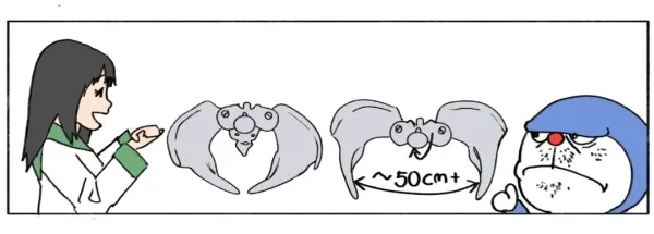 0018555234 e321ef73 600x215