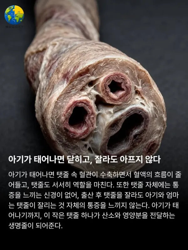 0050566039 d650bf5e 600x799