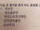 다음중 혈액을 붉게 하는 물질은?