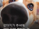 강아지가 추석에 이해 못 하는 것