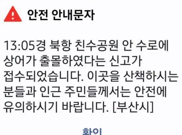 0122514123 76c4aabe 600x445