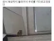 사무실 강아지 가출사건