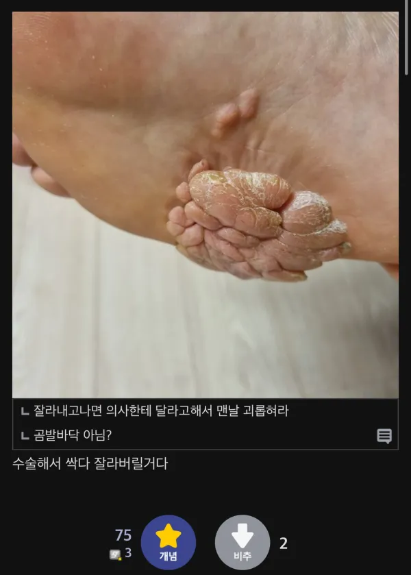 0201560421 01b53c35 600x839