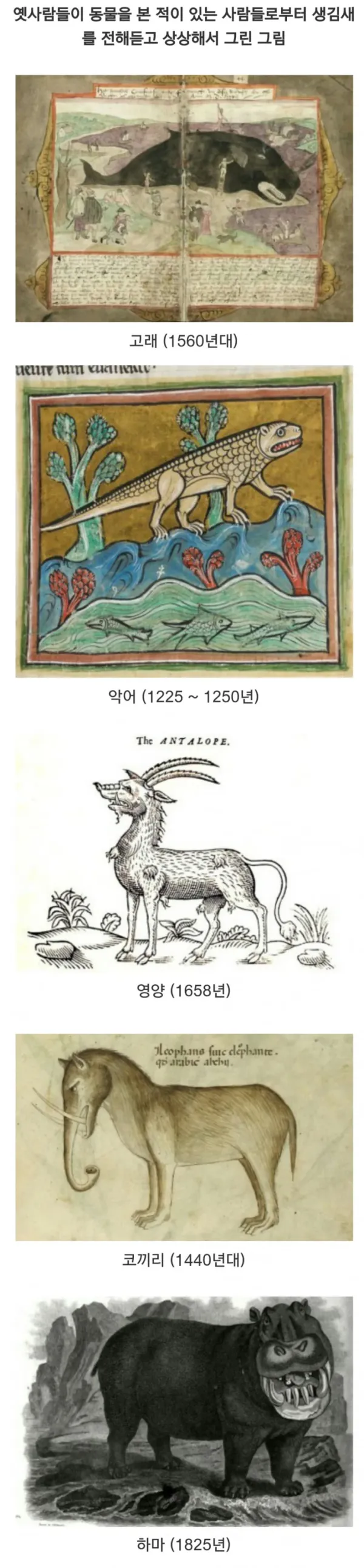 0251464838 c960d121 600x2581