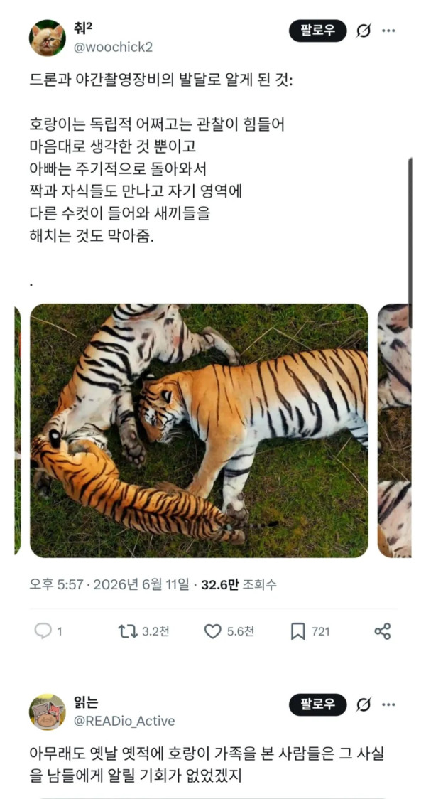 0302576885 d8a8030f 600x1124