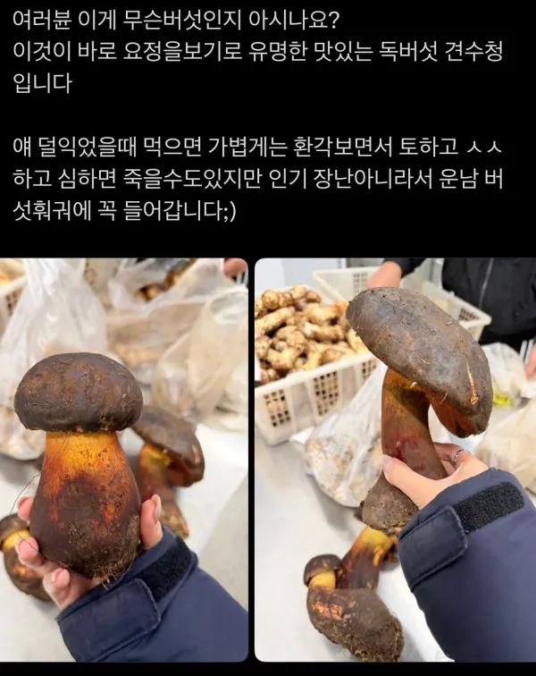 0336026322 06d8355b 600x756
