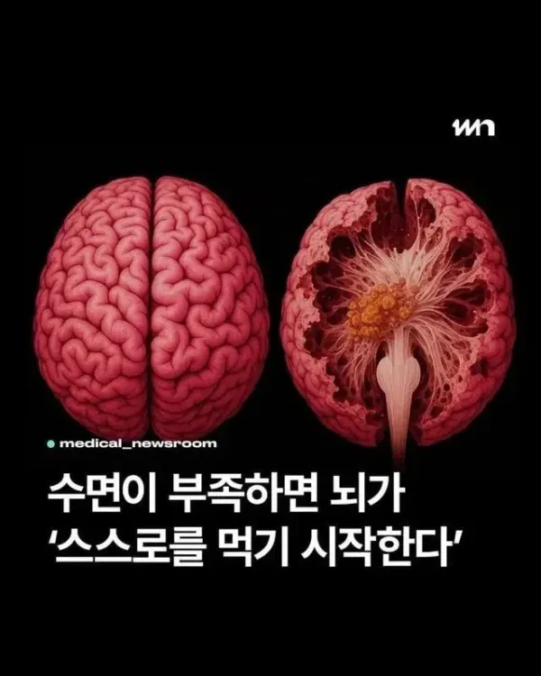0427008519 cc59892a 600x750