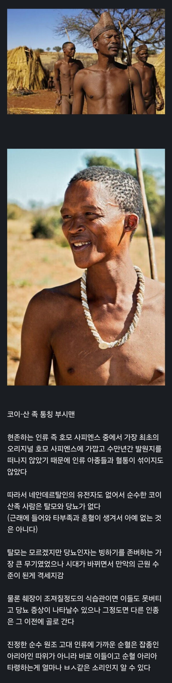 0428365899 ca7720f2 600x2374