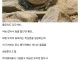 마약쟁이들이 조온나게 좋아한다는 동물...