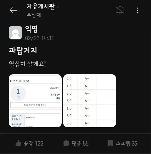 0513523880 41958ab2 600x610