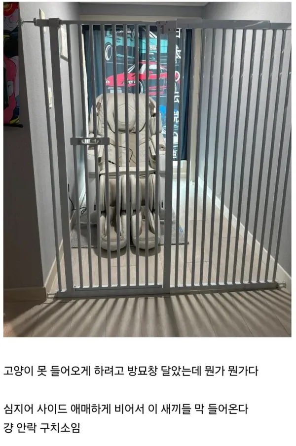 0551480526 ad9c1953 600x905
