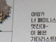 아앙?! 너 페미니스트라고? 멋진데~...jpg