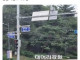 대머리들이 모여 사는 마을...jpg