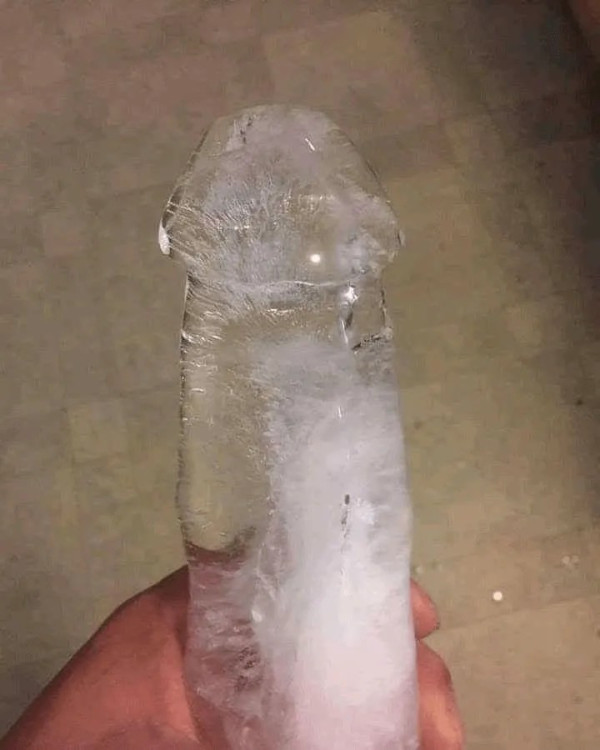 0656375892 9f0c62f8 600x750