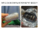 김밥 너무 비싸다고 '반줄 김밥' 등장