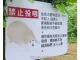 강아지에게 먹이주지마시오.jpg