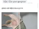 당근에 강아지 집 올려놨는데 문의가 너무 귀엽지않아??